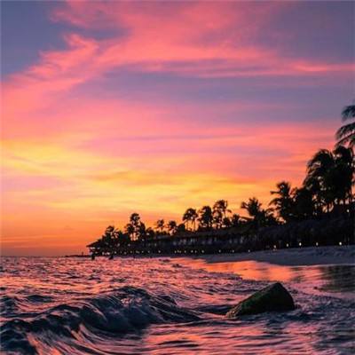 乐宝体育官网登录入口手机app下载